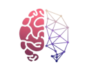 Your Brain